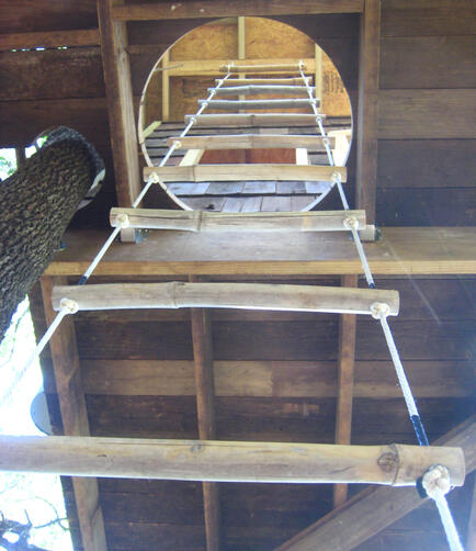 A view of the bamboo rope ladder leading up into the treehouse I built largely from found materials for my nephews in Austin, TX. (2010)